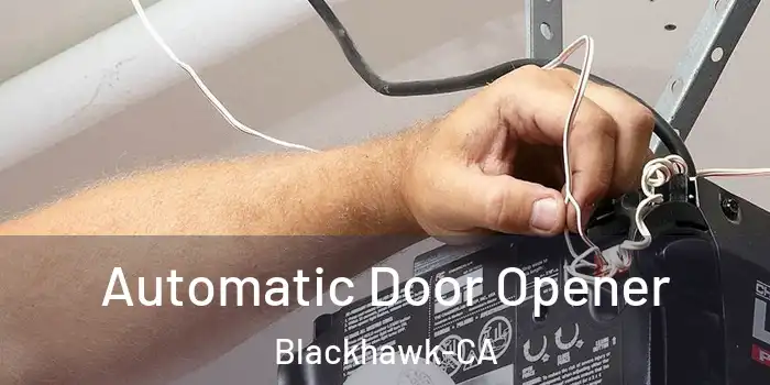  Automatic Door Opener Blackhawk-CA