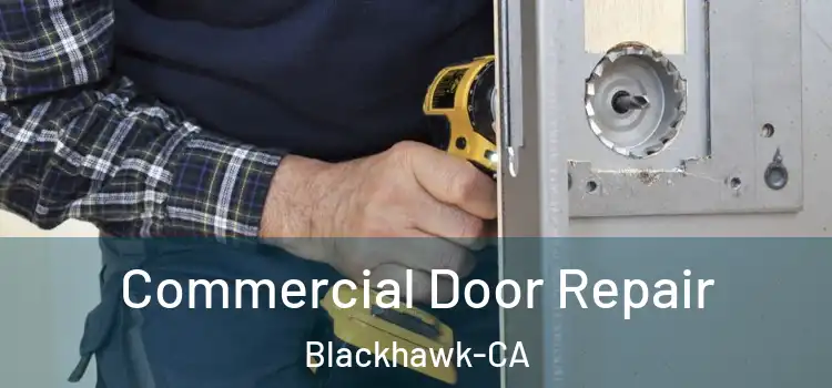  Commercial Door Repair Blackhawk-CA