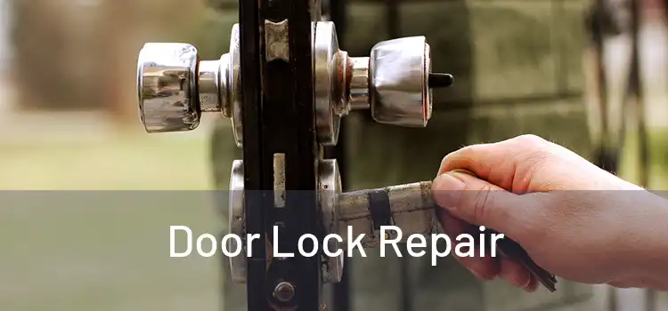 Door Lock Repair