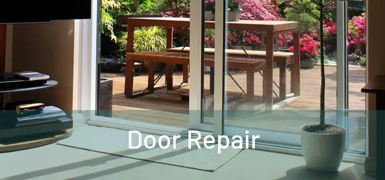 Door Repair