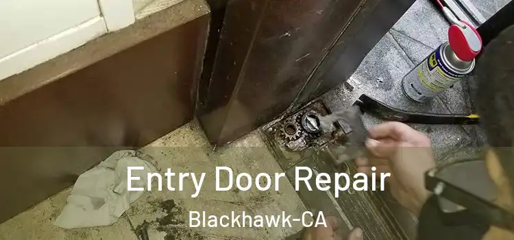  Entry Door Repair Blackhawk-CA