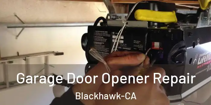  Garage Door Opener Repair Blackhawk-CA