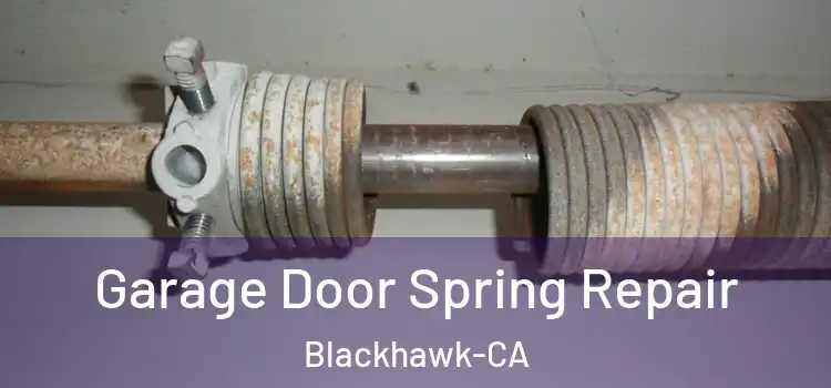  Garage Door Spring Repair Blackhawk-CA