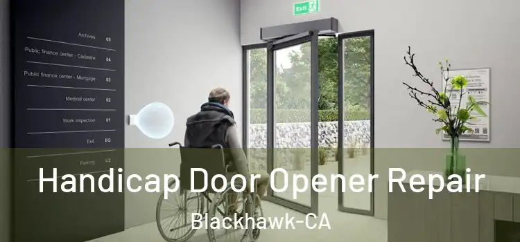  Handicap Door Opener Repair Blackhawk-CA