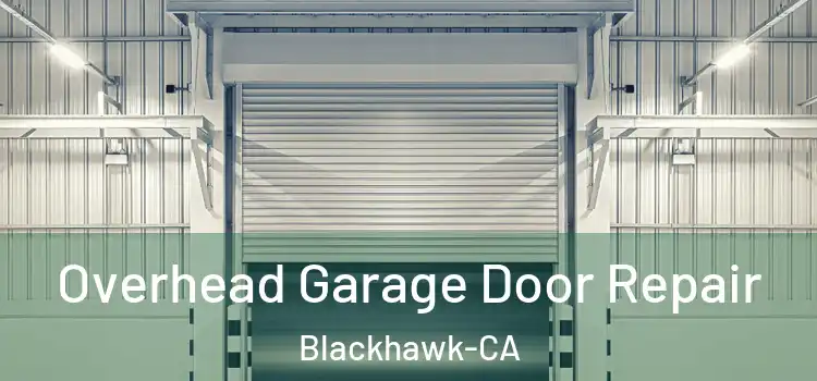  Overhead Garage Door Repair Blackhawk-CA