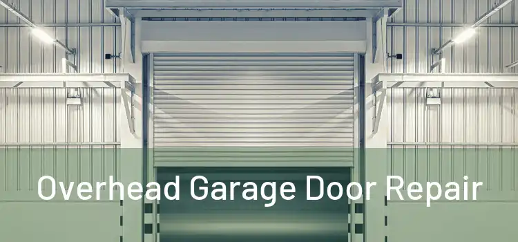  Overhead Garage Door Repair 