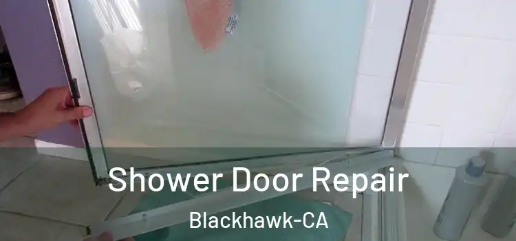  Shower Door Repair Blackhawk-CA