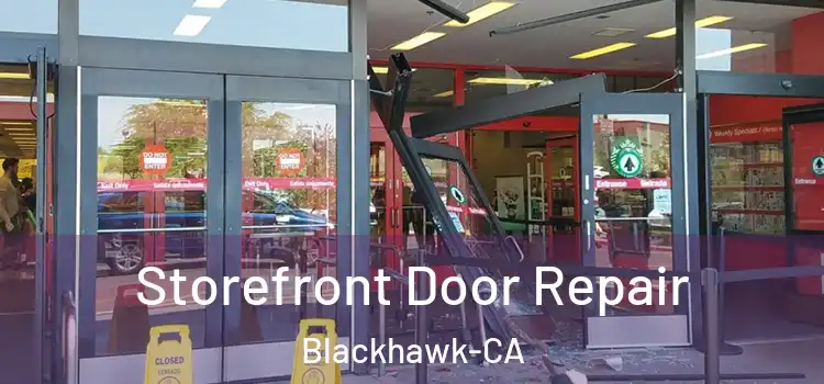  Storefront Door Repair Blackhawk-CA